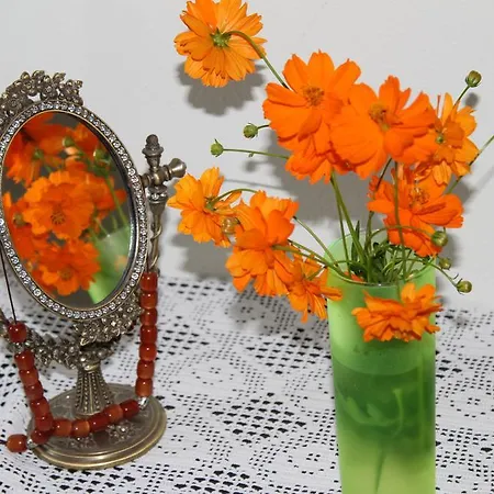Apartment Spiros Pelion *