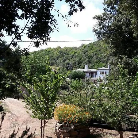 Spiros Pelion *