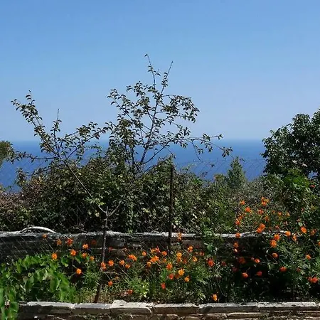 Spiros Pelion Apartment Kalamaki (Thessaly)