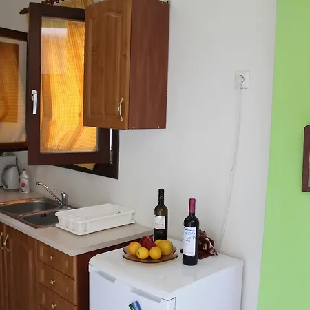 شقة Spiros Pelion *