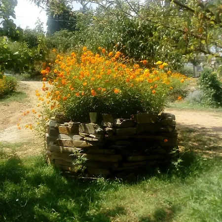 Daire Spiros Pelion Kalamaki (Thessaly)