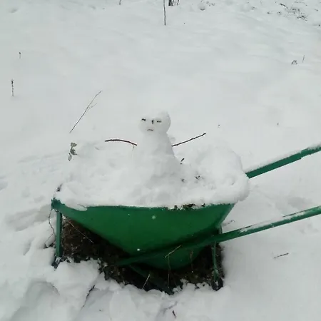 Spiros Pelion * Kalamaki (Thessaly)