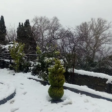 Spiros Pelion Kalamaki (Thessaly)